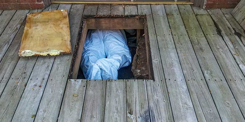 Crawl Space Services