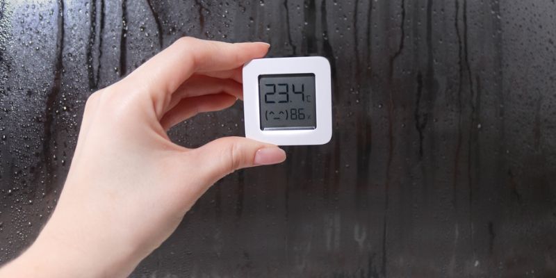 The Cost and Dangers of Ignoring Crawlspace Moisture