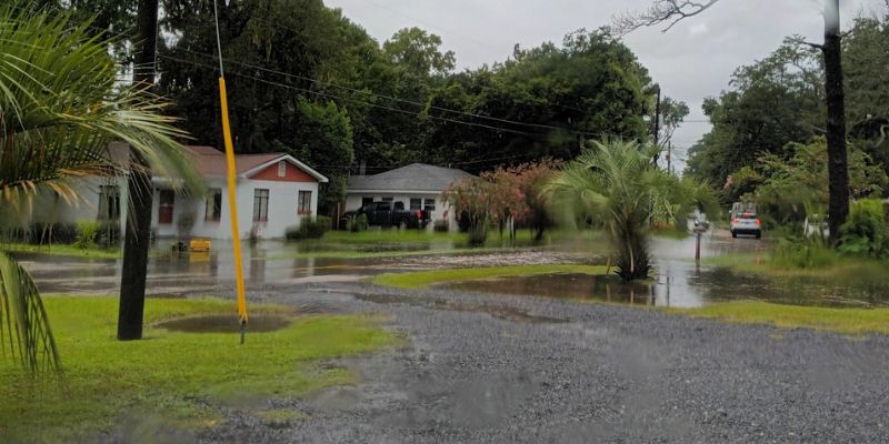 The Crawl Space Problem In Charleston