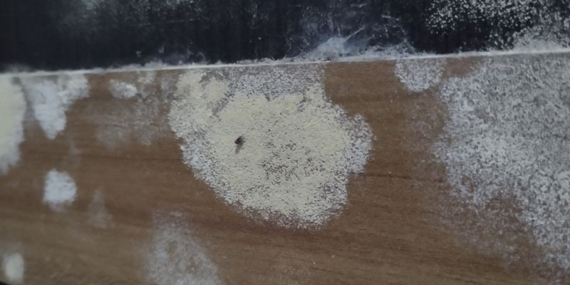 The Long Term Risks Of A Wet Crawl Space
