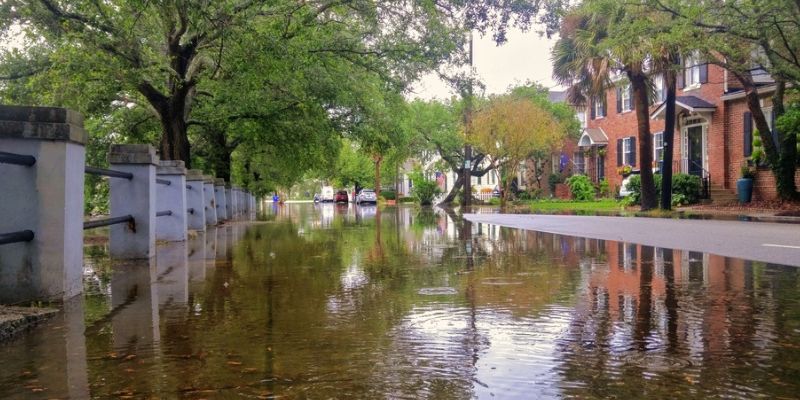 Why Charleston Crawl Spaces Are So Vulnerable